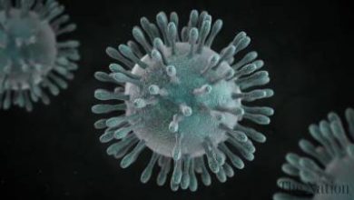Corona Virus in Sindh